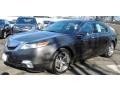 Grigio Metallic 2010 Acura TL 3.7 SH-AWD
