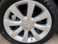 Diamond Graphite Metallic - FX 45 AWD Photo No. 15