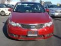 Spicy Red - Forte EX Photo No. 8