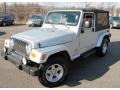 Bright Silver Metallic - Wrangler Unlimited 4x4 Photo No. 3