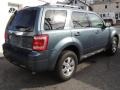 2010 Steel Blue Metallic Ford Escape Limited V6 4WD  photo #4