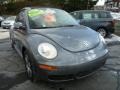 Platinum Grey - New Beetle 2.5 Convertible Photo No. 3