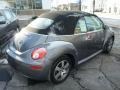 Platinum Grey - New Beetle 2.5 Convertible Photo No. 12