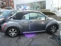 Platinum Grey - New Beetle 2.5 Convertible Photo No. 13