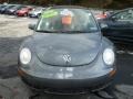 Platinum Grey - New Beetle 2.5 Convertible Photo No. 16