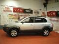 Platinum Metallic - Tucson SE 4WD Photo No. 4