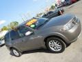 2007 Graphite Gray Metallic Saab 9-7X 4.2i  photo #10