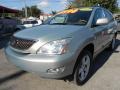 2005 Bamboo Pearl Lexus RX 330  photo #3