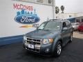 2010 Steel Blue Metallic Ford Escape Limited V6  photo #1