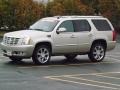 Silver Coast Metallic 2013 Cadillac Escalade Luxury