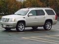 Silver Coast Metallic 2013 Cadillac Escalade Luxury Exterior