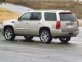 2013 Silver Coast Metallic Cadillac Escalade Luxury  photo #4