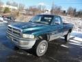 Forest Green Pearl - Dakota Regular Cab 4x4 Photo No. 3