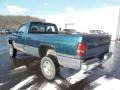 Forest Green Pearl - Dakota Regular Cab 4x4 Photo No. 4