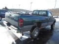 Forest Green Pearl - Dakota Regular Cab 4x4 Photo No. 6