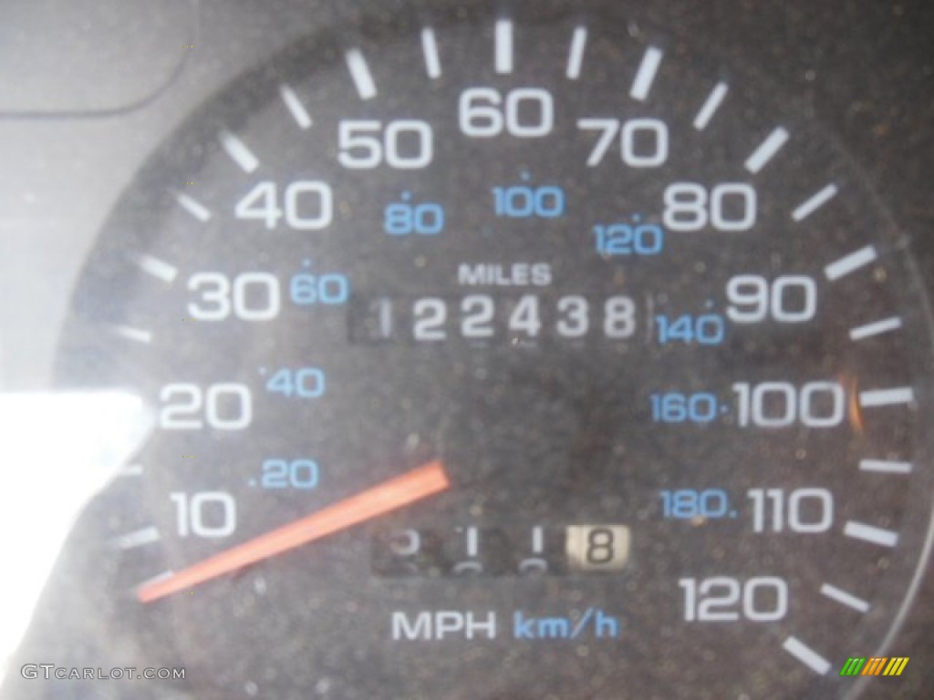 2002 Dakota Regular Cab 4x4 - Forest Green Pearl / Dark Slate Gray photo #14