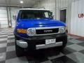 2007 Voodoo Blue Toyota FJ Cruiser   photo #2