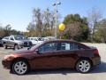 Deep Auburn Pearl - 200 Touring Sedan Photo No. 2