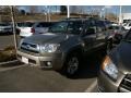 Driftwood Pearl - 4Runner SR5 4x4 Photo No. 4