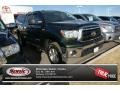 2010 Spruce Green Mica Toyota Tundra TRD Double Cab 4x4  photo #1