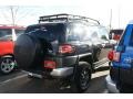 Black Diamond - FJ Cruiser 4WD Photo No. 2
