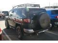 Black Diamond - FJ Cruiser 4WD Photo No. 3