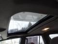 Titanium Metallic - 4Runner SR5 4x4 Photo No. 17