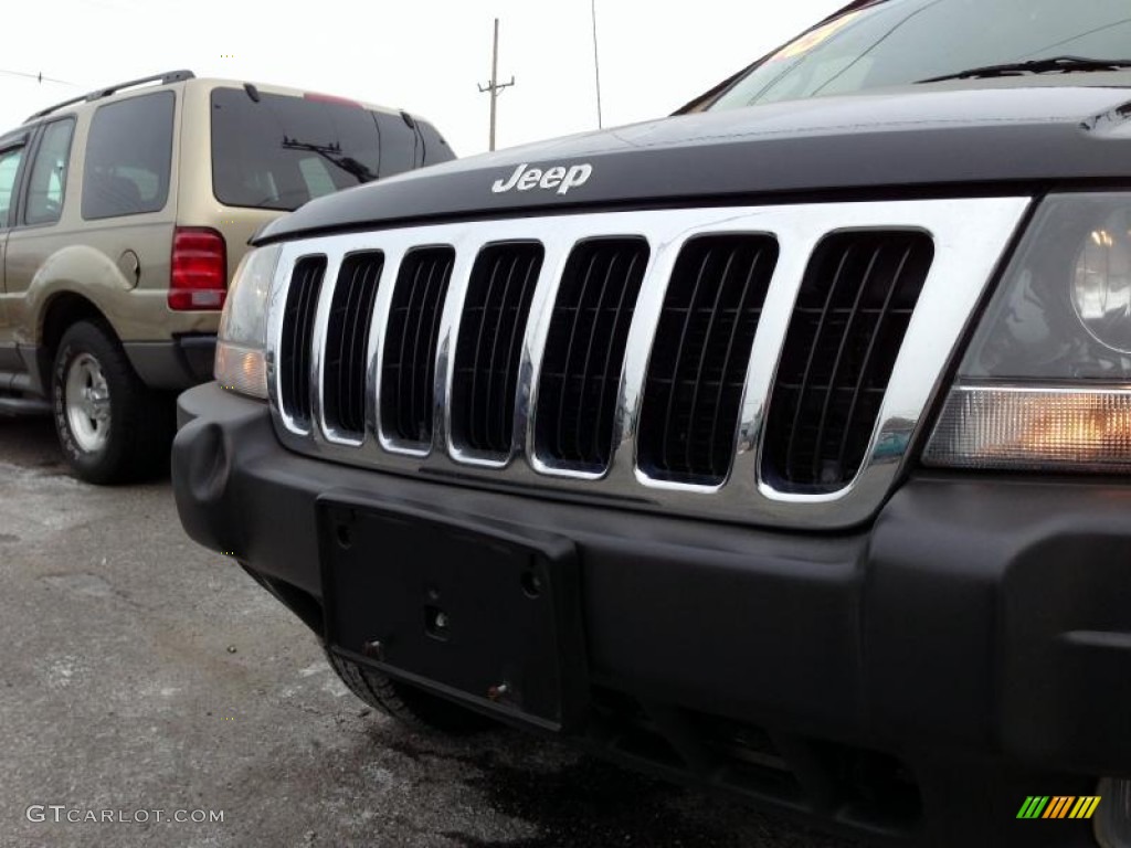 2003 Grand Cherokee Laredo 4x4 - Brilliant Black / Sandstone photo #10