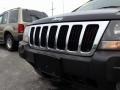 2003 Brilliant Black Jeep Grand Cherokee Laredo 4x4  photo #10
