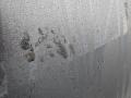 Smoke Gray - Titan SV Crew Cab Photo No. 16