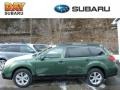 Cypress Green Pearl - Outback 2.5i Premium Photo No. 1