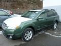 Cypress Green Pearl - Outback 2.5i Premium Photo No. 8
