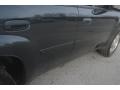 Graphite Metallic - TrailBlazer LS Photo No. 10