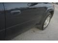 Graphite Metallic - TrailBlazer LS Photo No. 11