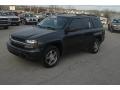 Graphite Metallic - TrailBlazer LS Photo No. 40
