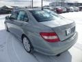 Palladium Silver Metallic - C 300 4Matic Sport Photo No. 5