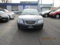 Willow Gray - Sonata GLS Photo No. 1