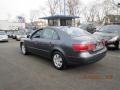Willow Gray - Sonata GLS Photo No. 4