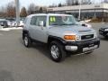 2008 Titanium Metallic Toyota FJ Cruiser 4WD  photo #1