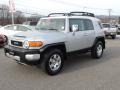 Titanium Metallic - FJ Cruiser 4WD Photo No. 3