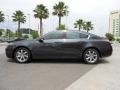 Graphite Luster Metallic - TL  Photo No. 5