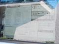 Alabaster Silver Metallic - Pilot EX-L Photo No. 9
