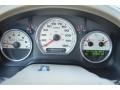 Tan Gauges Photo for 2004 Ford F150 #76445699