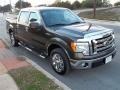 Stone Green Metallic - F150 XLT SuperCrew Photo No. 6