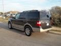 Carbon Metallic - Expedition Eddie Bauer 4x4 Photo No. 4