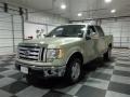 2010 Pueblo Gold Metallic Ford F150 XLT SuperCrew  photo #3