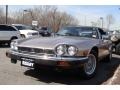 1991 Oyster Metallic Jaguar XJ XJS Convertible #7635098