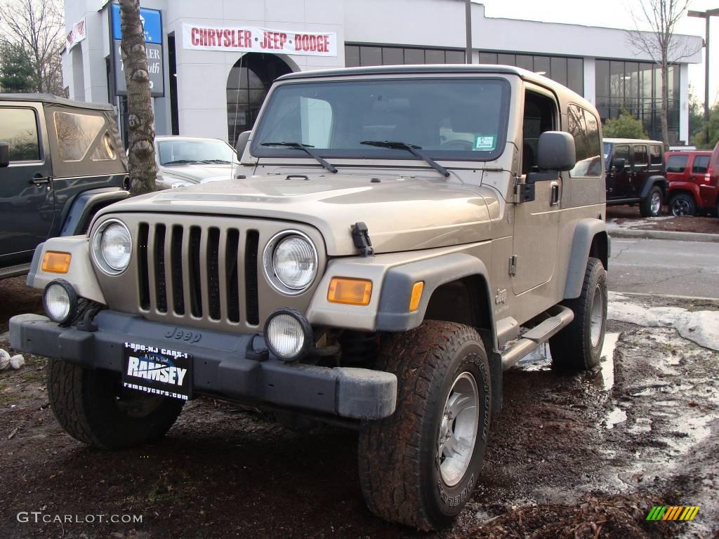 2004 Wrangler X 4x4 - Light Khaki Metallic / Dark Slate Gray photo #1