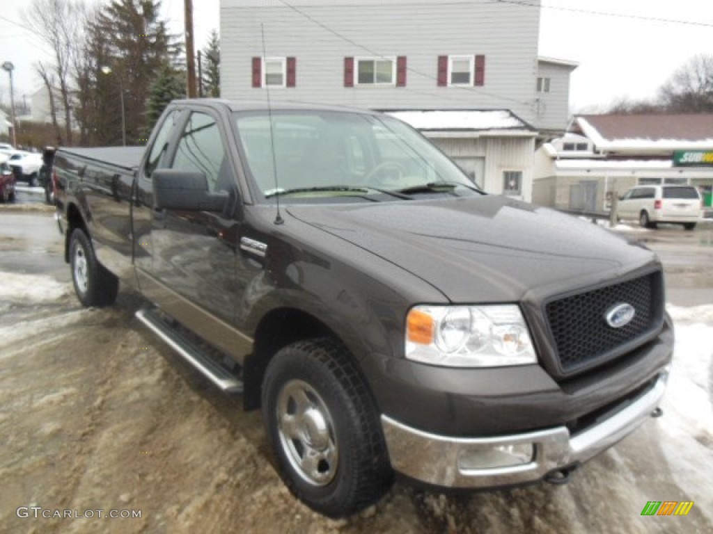 2005 F150 XLT Regular Cab 4x4 - Dark Stone Metallic / Tan photo #3
