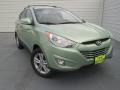 2013 Kiwi Green Hyundai Tucson GLS  photo #1